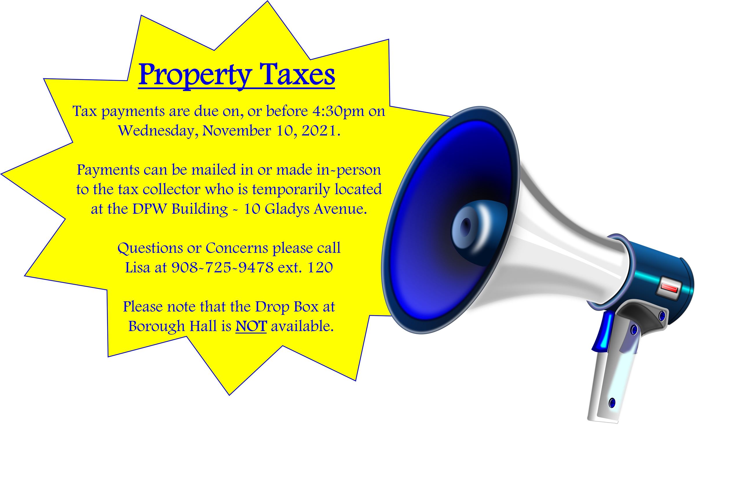 Property Taxes